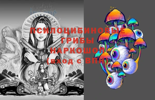 apvp Новодвинск