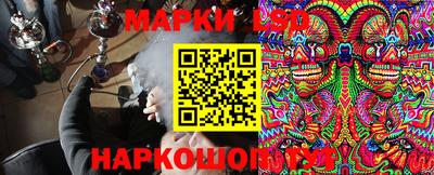 бошки Гатчина