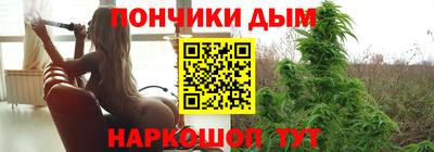 шишки Гай