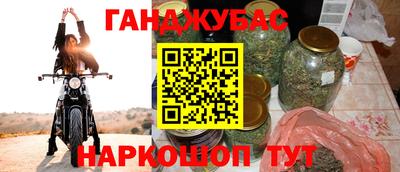 шишки Гай