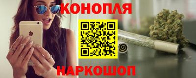 бошки Гатчина