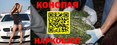 молекула духа Гагарин