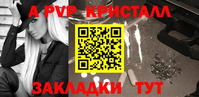 шишки Гай