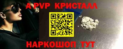 шишки Гай