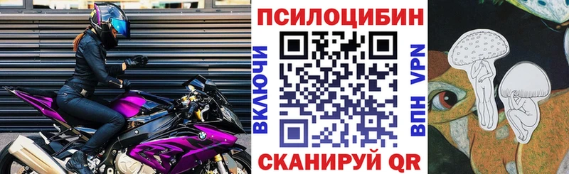 Псилоцибиновые грибы мицелий  наркота  Кизляр 