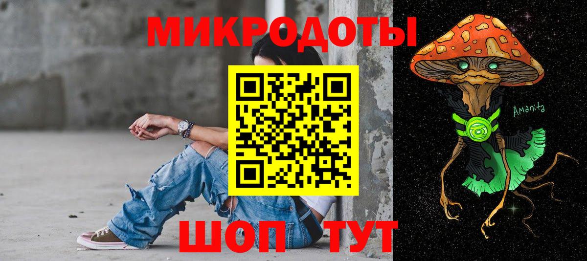 Псилоцибиновые грибы Psilocybine cubensis Кизляр
