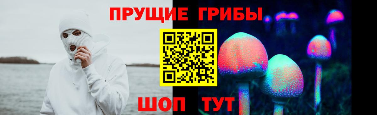 Псилоцибиновые грибы MAGIC MUSHROOMS  Галлюциногенные грибы прущие грибы  Вход с VPN  Кизляр 